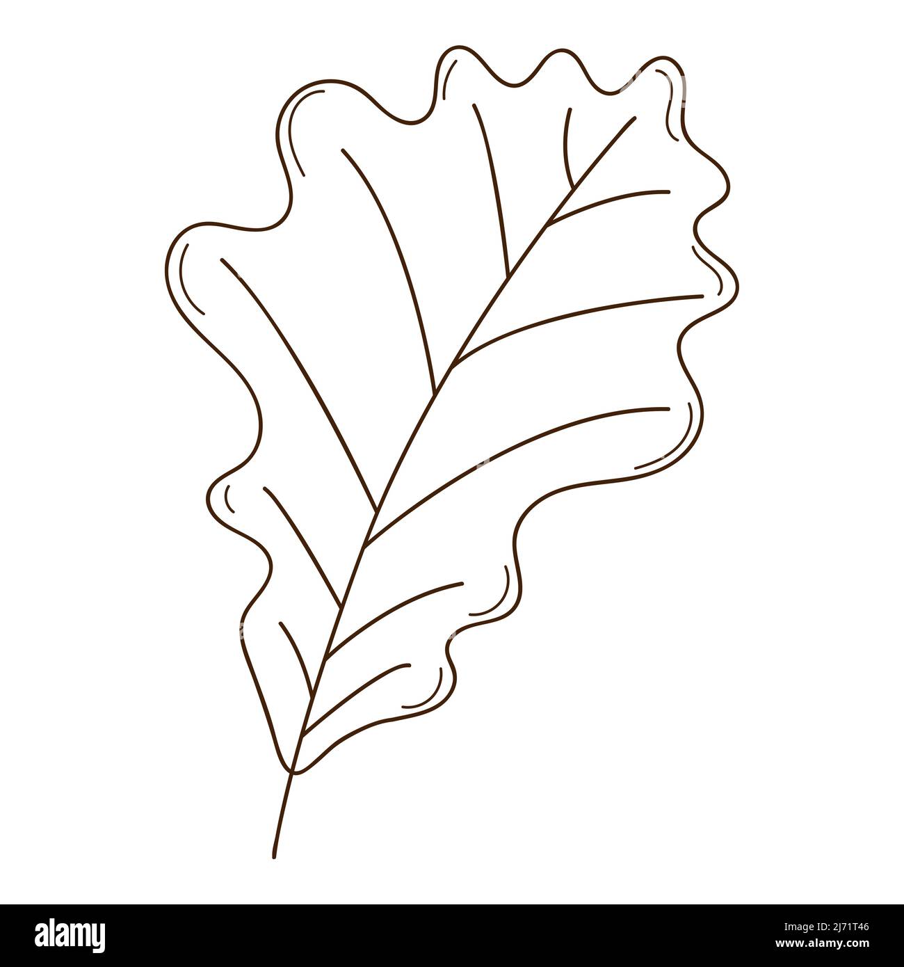 chêne feuille d'automne. Botanique, élément de conception de plantes avec contour. . Doodle, dessiné à la main. Conception plate. Illustration vectorielle noir et blanc. Isolé sur un blanc Illustration de Vecteur