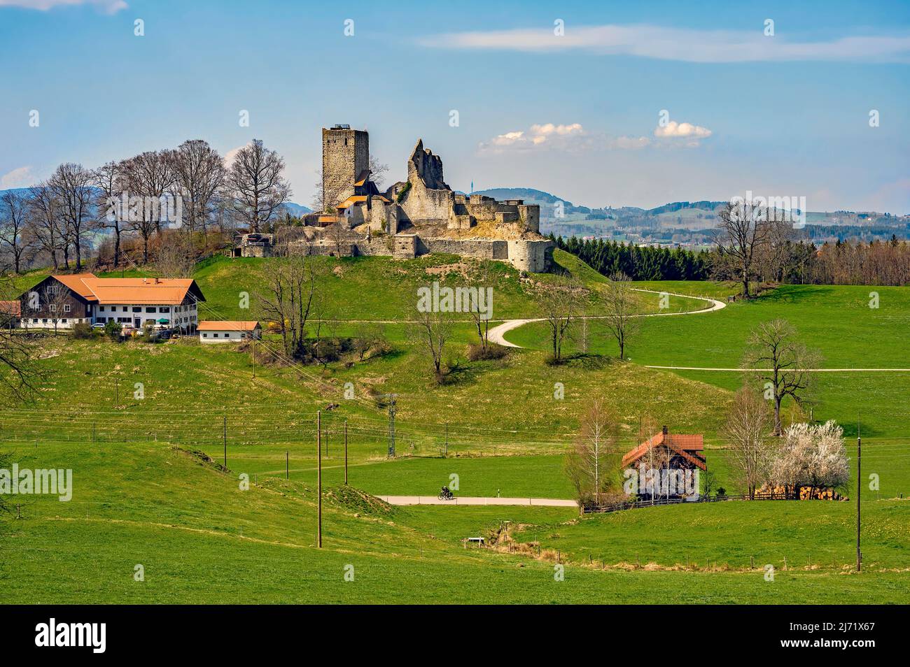 Frühlingswiesen mit Ruine-Sulzberg BEI Kempten, Allgaeu, Bayern, Allemagne Banque D'Images