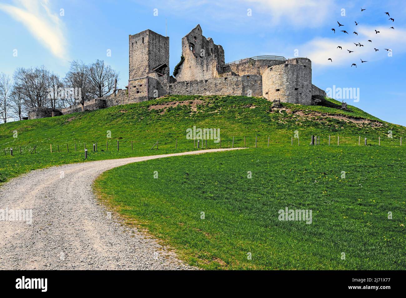 Frühlingswiesen mit Ruine-Sulzberg BEI Kempten, Allgaeu, Bayern, Allemagne Banque D'Images