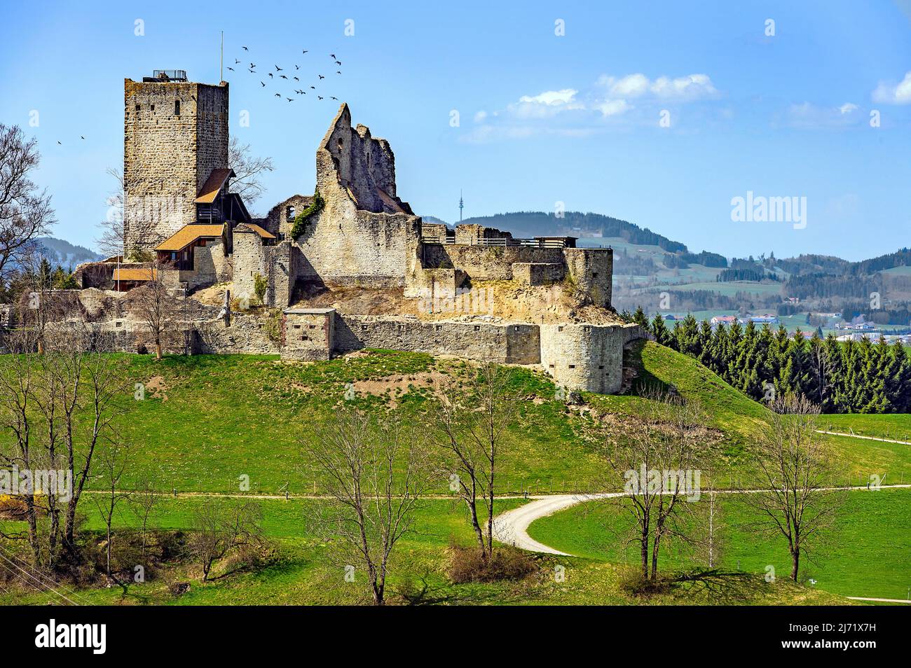 Frühlingswiesen mit Ruine-Sulzberg BEI Kempten, Allgaeu, Bayern, Allemagne Banque D'Images