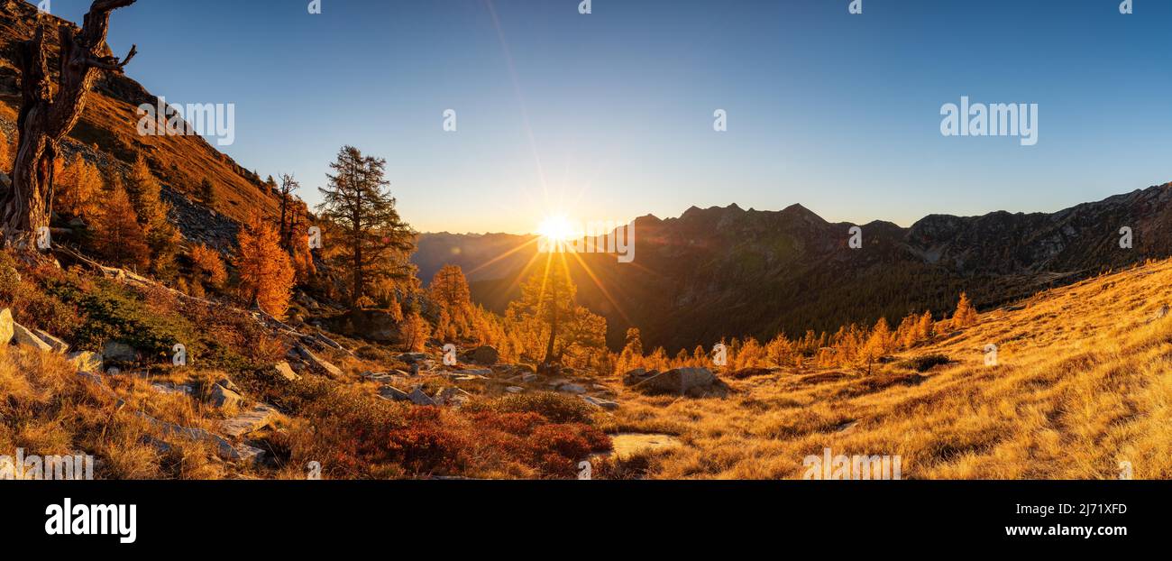 Sonnenaufgang ueber der Alpe Alzasca im Herbst, Kanton Tessin, Suisse Banque D'Images