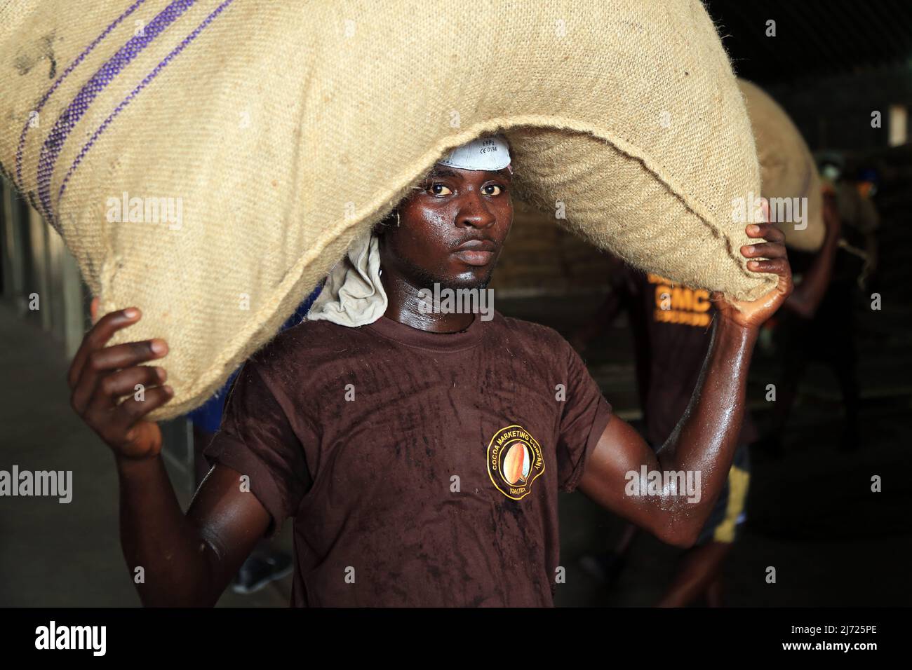 Employé déchargeant le camion de cacao. Accra, Ghana Banque D'Images