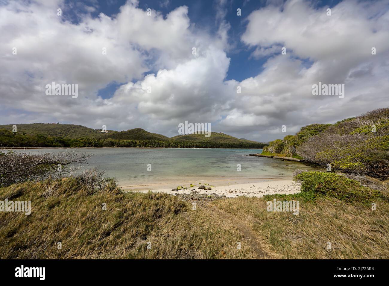 Plage de Macabou, côte Atlantique du Marin, Martinique, Antilles françaises Banque D'Images