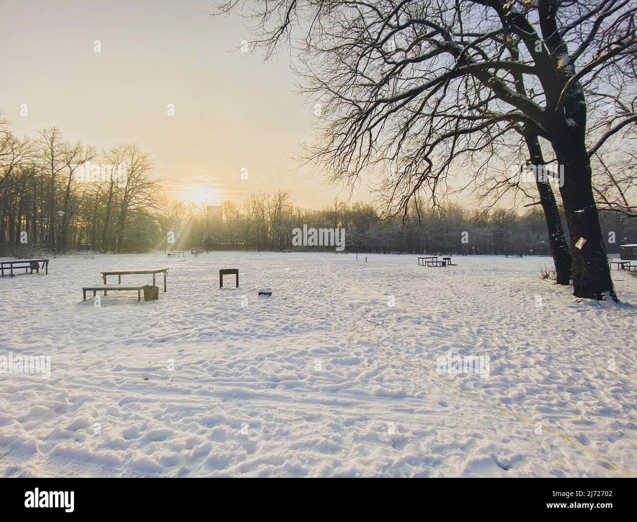 Coucher de soleil d'hiver dans un parc couvert de neige. Concept saison et temps froid Banque D'Images