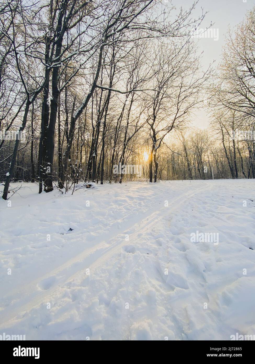 Coucher de soleil d'hiver dans un parc couvert de neige. Concept saison et temps froid Banque D'Images
