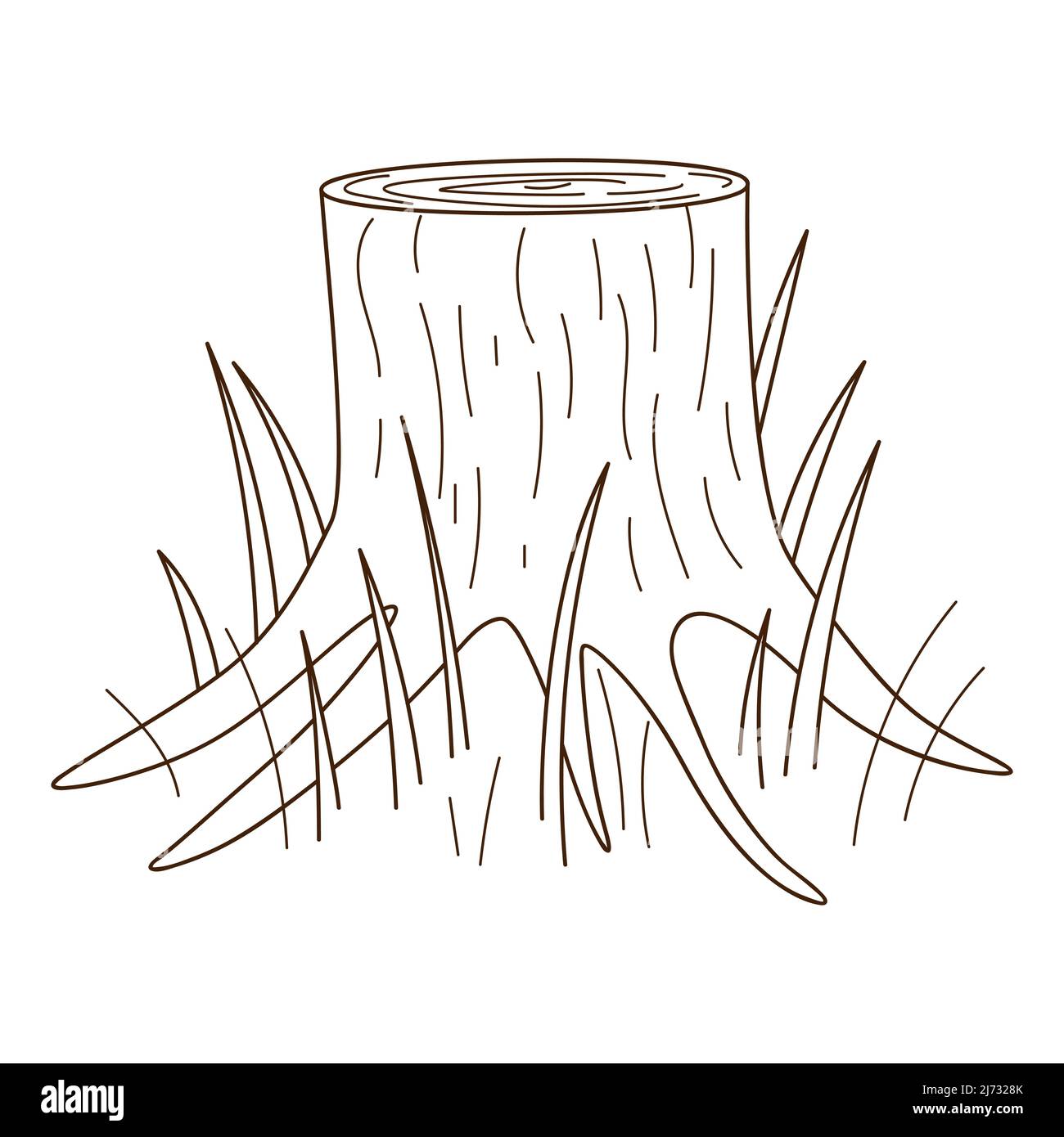 Une souche d'un arbre. Forêt, nature. Élément décoratif avec contour. Doodle, dessiné à la main. Illustration vectorielle noir et blanc. Isolé sur un dos blanc Illustration de Vecteur