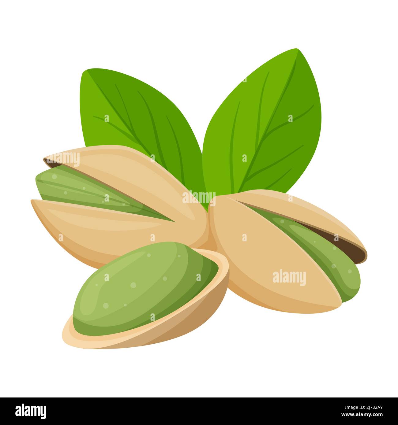 Pistaches dans une coquille avec des feuilles. Une alimentation saine, un ingrédient. Plat, style dessin animé. Illustration à vecteur de couleur isolée sur fond blanc Illustration de Vecteur