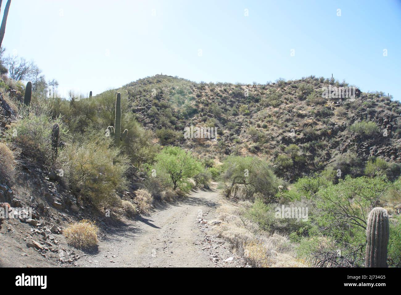 Sentier de randonnée dans le désert à Winkleman, Arizona. Banque D'Images