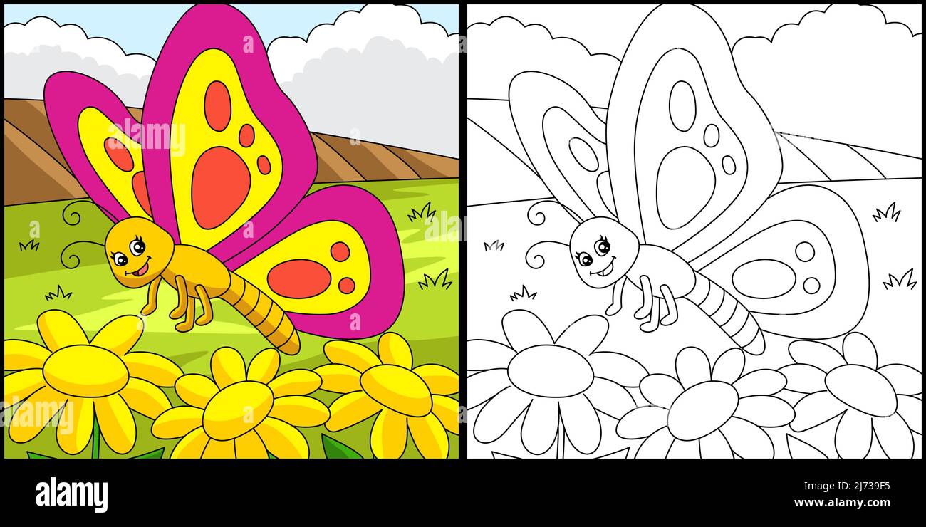 Page de coloriage papillon Illustration colorée Illustration de Vecteur