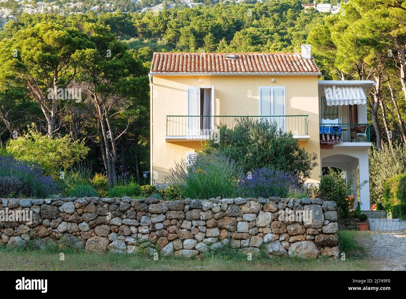 Buissons et arbres poussent à côté de bâtiments résidentiels sur la côte de la Croatie. Paysages d'été en voyage. Banque D'Images