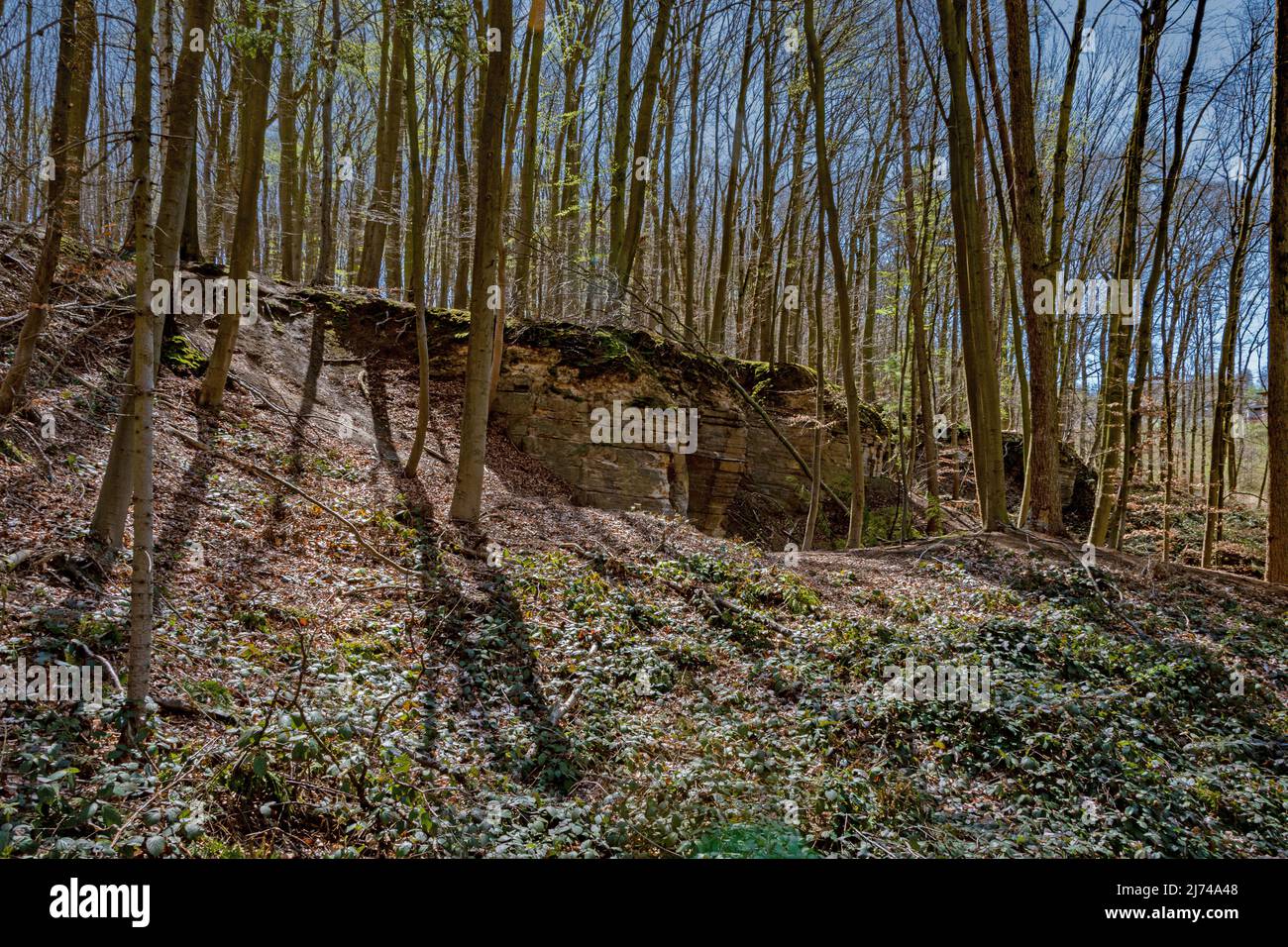 Les rochers de grès connus pour les contreforts de Harz, dans la forêt sur le sentier de culture de Laves Banque D'Images