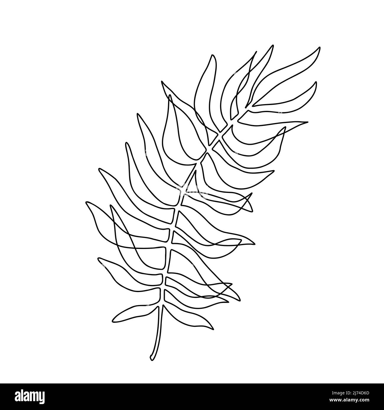 Feuille de palmier continue à une ligne. L'arbre laisse une seule ligne. Concept de contour esthétique vectoriel pour la décoration d'intérieur Illustration de Vecteur