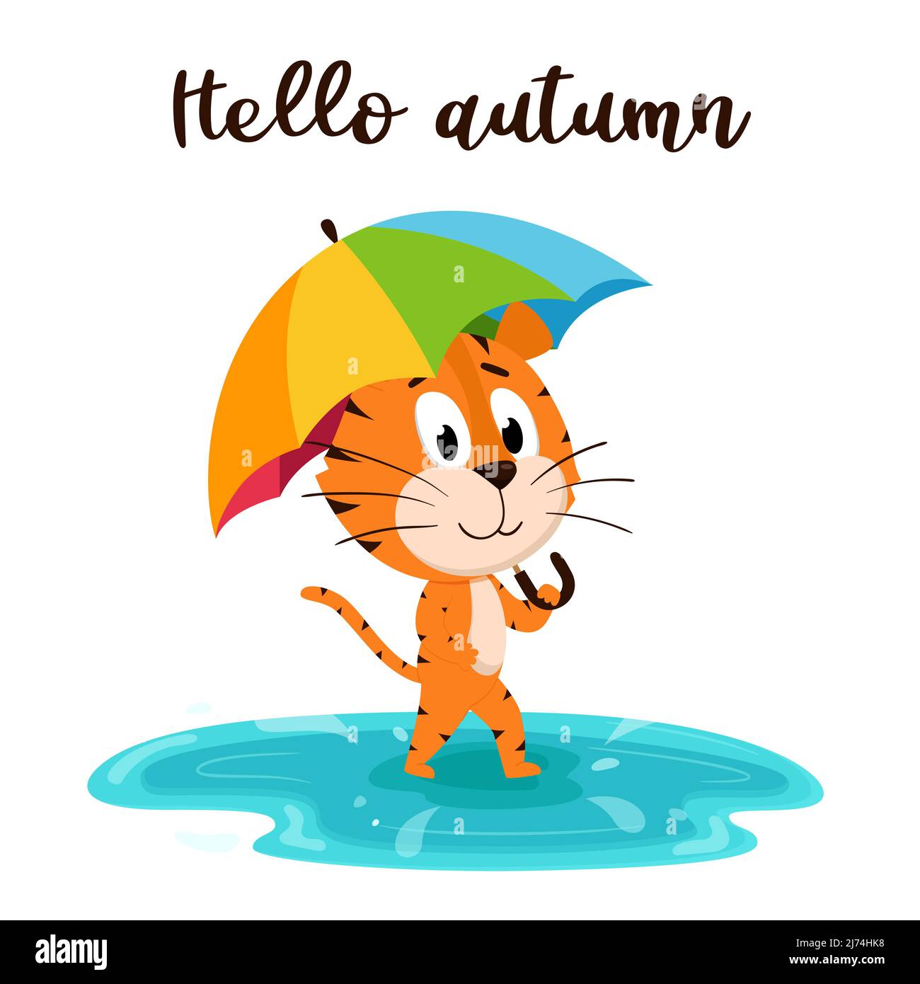 Un joli tigre de dessin animé marche avec un parapluie à travers une flaque. Arrière-plan des gouttes de pluie et l'inscription Hello automne. Une carte avec un personnage adorable. Illustration de Vecteur