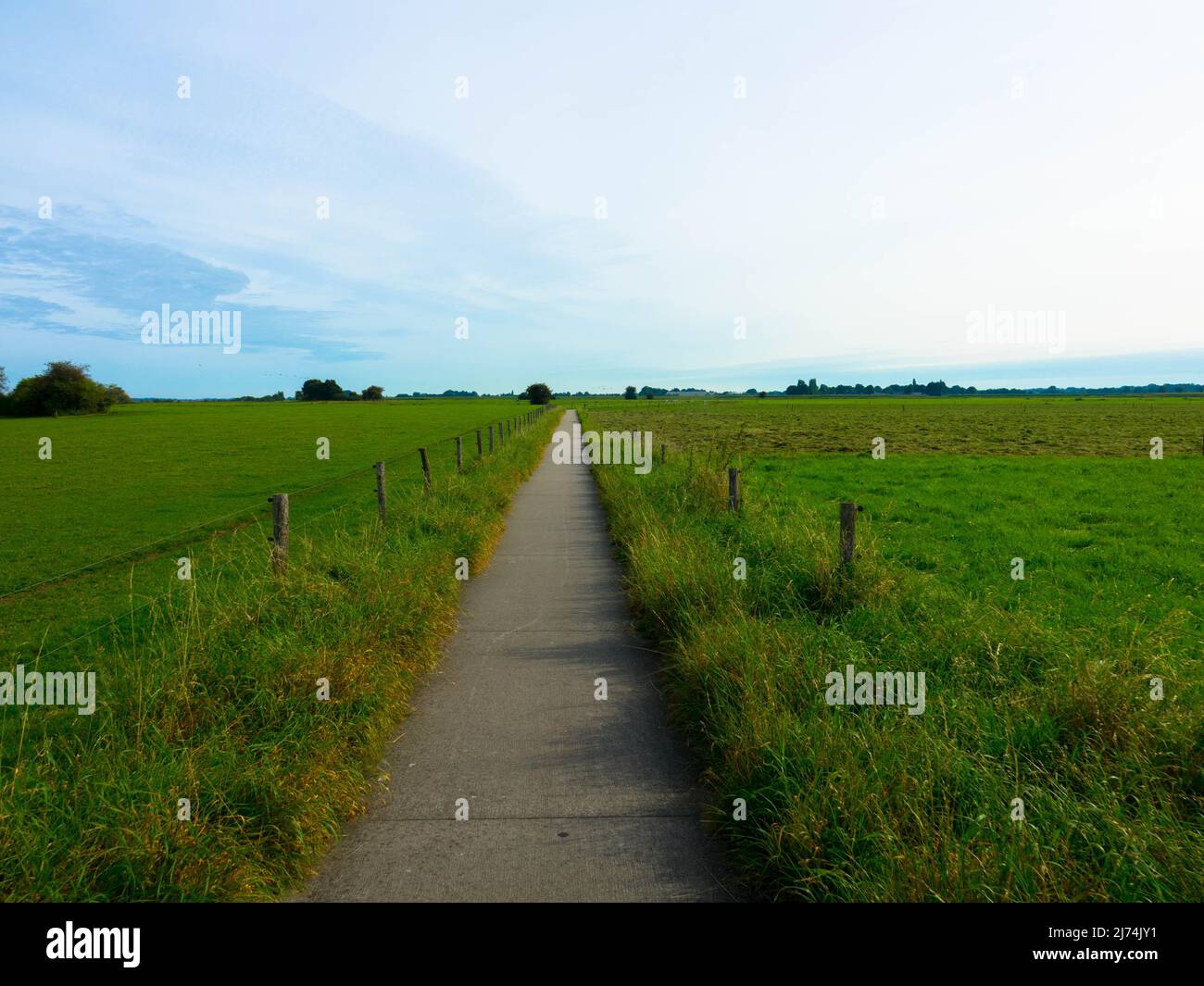 Longue distance à vélo ou à pied de route à travers le paysage hollandais, étroit chemin d'asphalte entre les prés. Provinz Gelderland, pays-Bas Banque D'Images