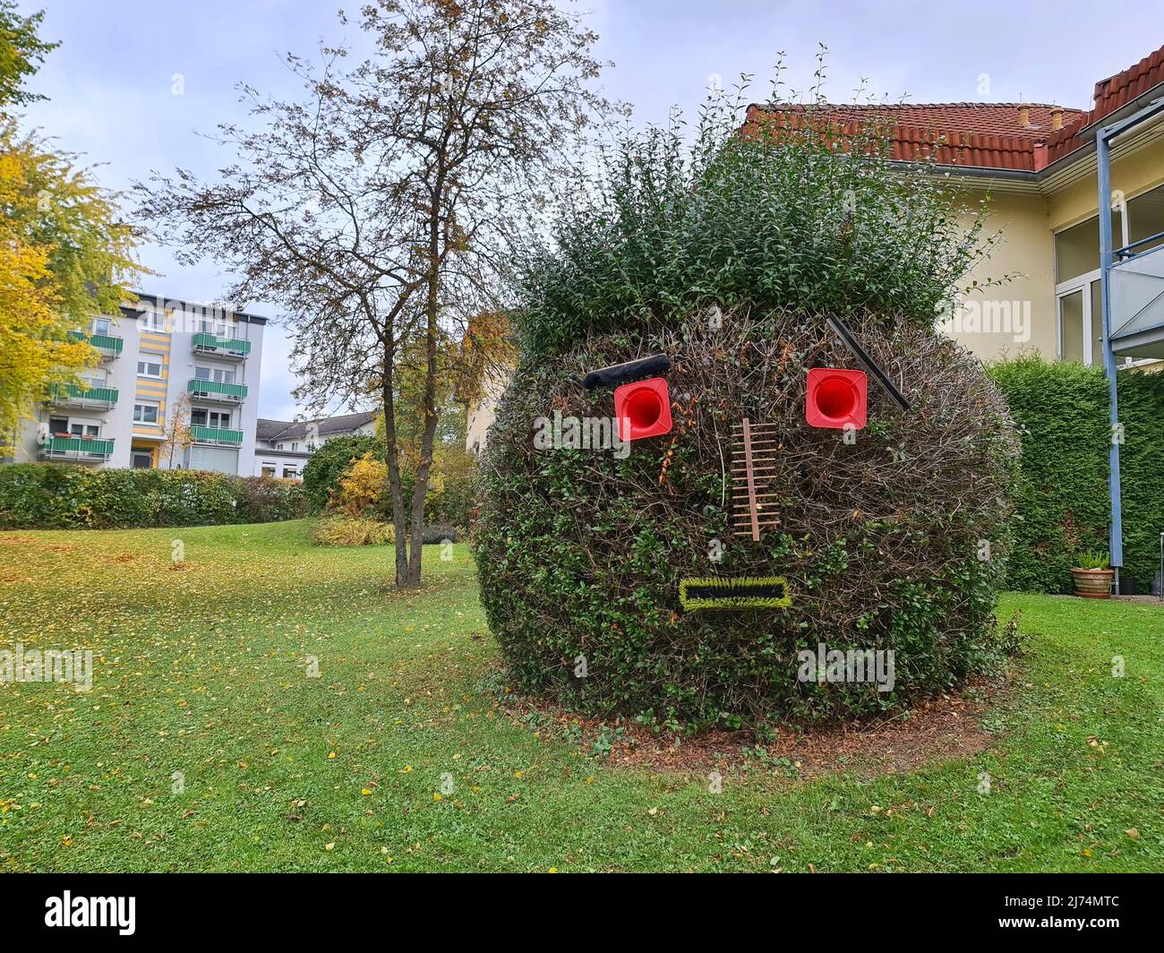 Face dans un Bush, Allemagne Banque D'Images