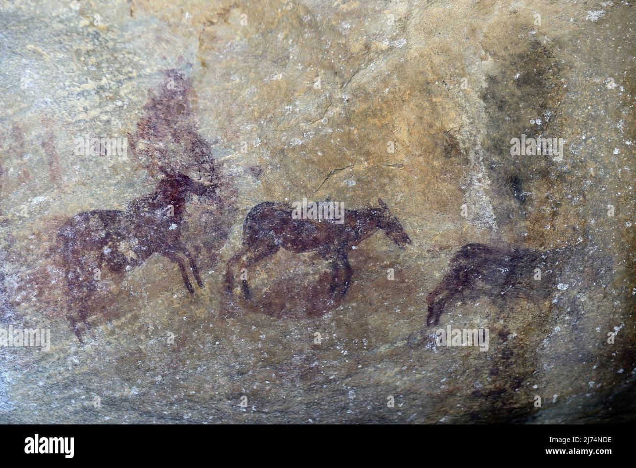 Ancienne peinture rock du San, indigènes de l'Afrique du Sud, Sentier d'art rupestre de Séville, Cederberge près de Clanwilliam et Wuppertal, Afrique du Sud, Ouest Banque D'Images
