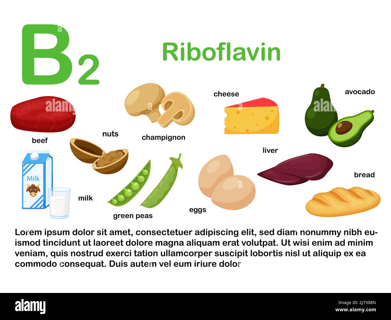 Affiche rectangulaire contenant des produits alimentaires contenant de la vitamine B2. Riboflavine. Médecine, alimentation, alimentation saine, infographies. Produits avec nom.dessin animé plat Illustration de Vecteur