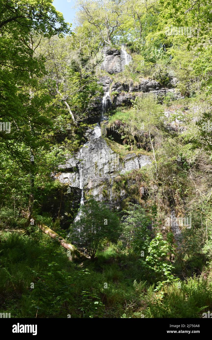 Meandering à Canonteign Falls dans la vallée de Teign. Banque D'Images