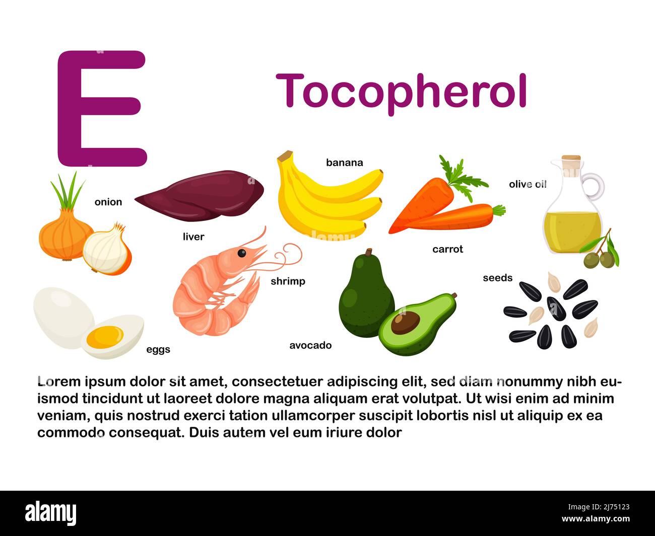 Affiche rectangulaire contenant des produits alimentaires contenant de la vitamine E. tocophérol. Médecine, alimentation, alimentation saine, infographies. Produits avec nom.dessin animé plat Illustration de Vecteur