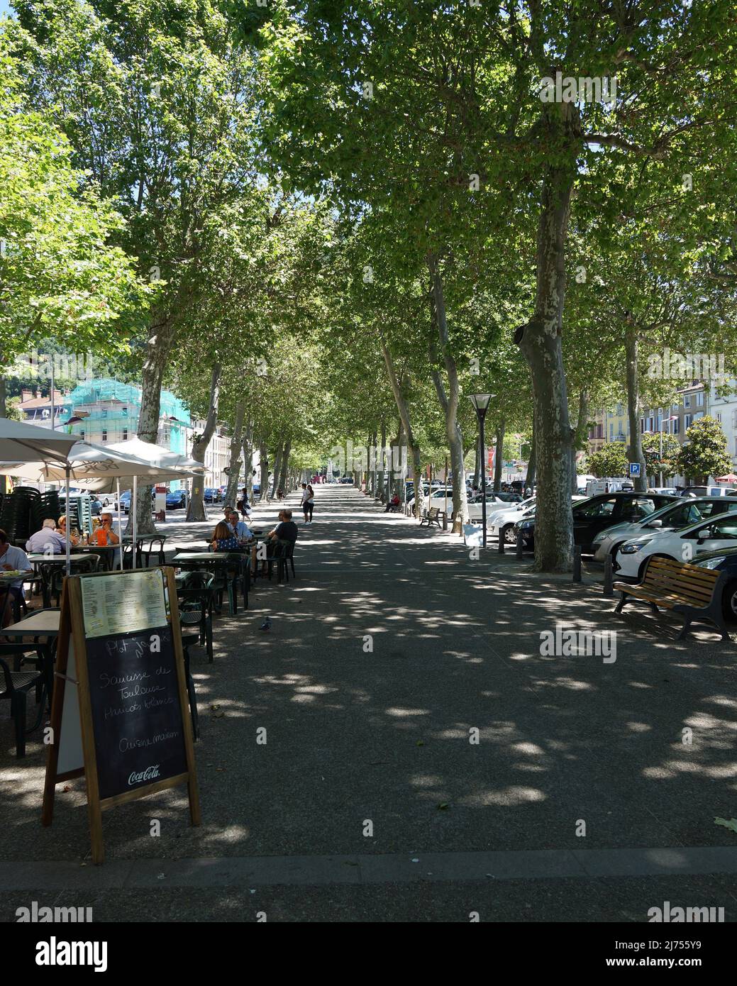 Une avenue d'platanes à Fox France, image classique d'une ville française. Banque D'Images
