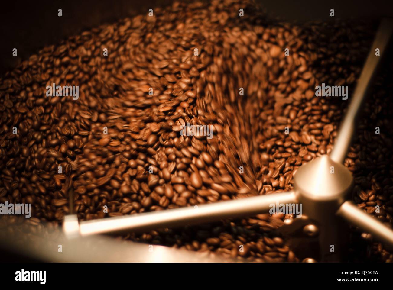 Grains de café torréfiés Banque D'Images