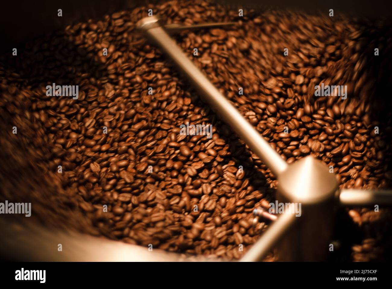 Grains de café torréfiés Banque D'Images