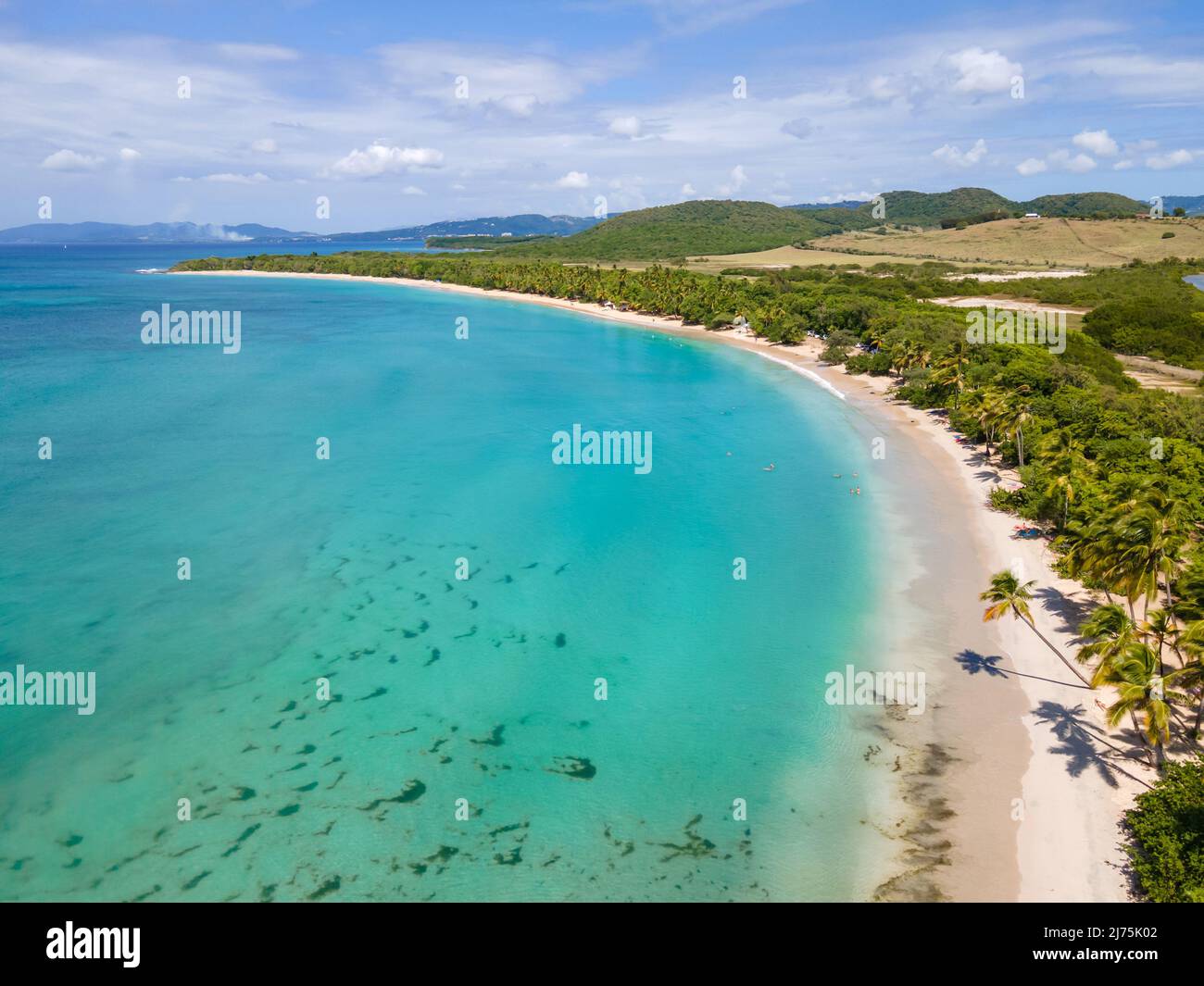 Plage de Salines, Sainte-Anne, Martinique, Antilles Françaises Banque D'Images