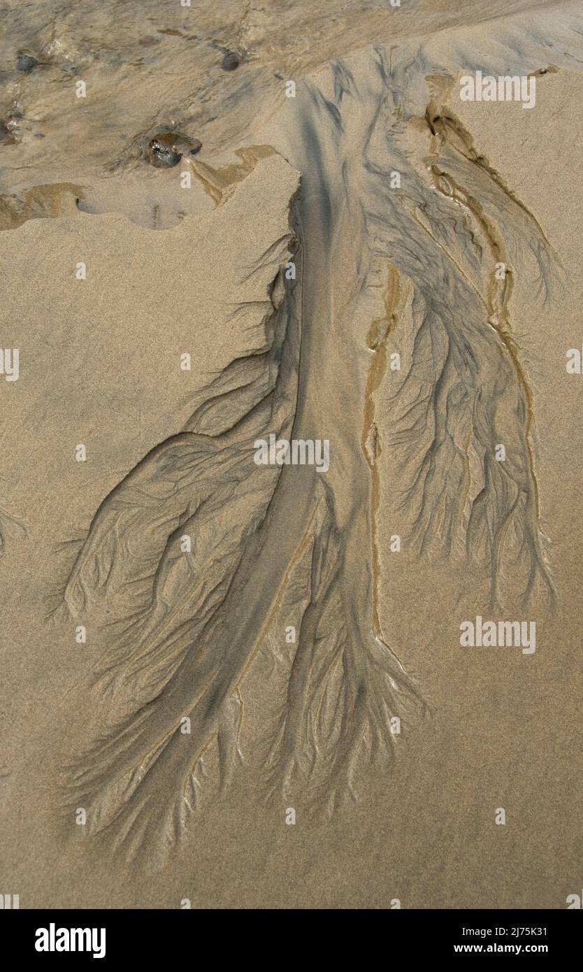 Motifs d'érosion dans le sable de plage, sur la côte de l'Oregon Banque D'Images