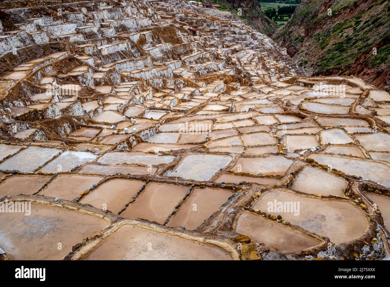 Les Salineras de Maras (Maras Salt pans) région de Cusco, Pérou. Banque D'Images