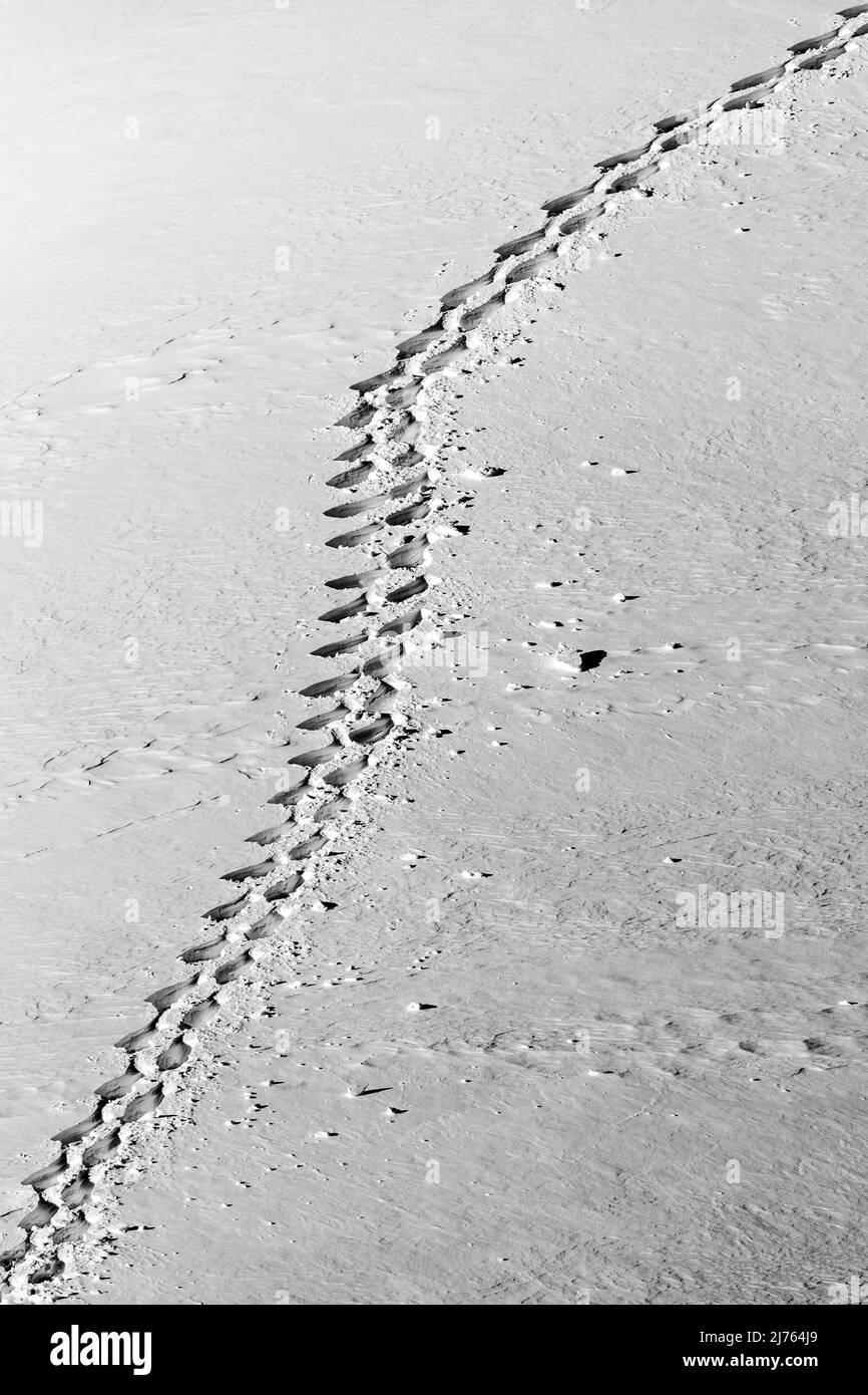 Une seule piste de raquettes dans le Karwendel sur une pente de montagne dans la neige. Le terrain escarpé montre des structures dans la neige. Banque D'Images Une seule piste de raquettes dans le Karwendel sur une pente de montagne dans la neige. Le terrain escarpé montre des structures dans la neige. Banque D'Images