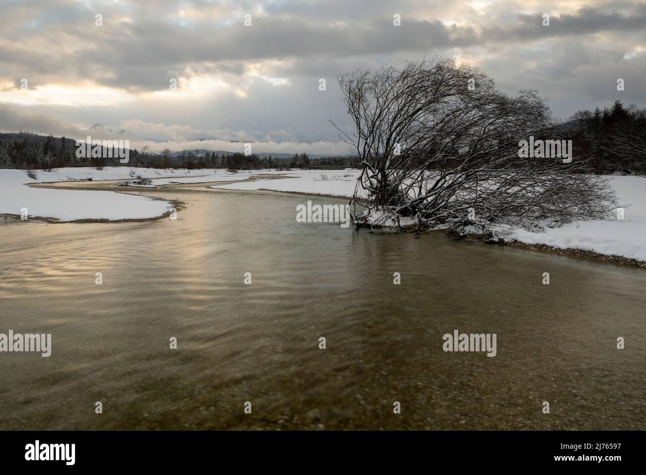 Le lit d'eau de l'Isar avec l'eau résiduelle s'écoulent à travers la centrale électrique au-dessus en hiver avec la neige et le coucher du soleil. Un grand saule sur la rive dans la neige, tandis que la rivière claire coule vers le spectateur et en arrière-plan les montagnes Wetterstein et Karwendel se trouvent dans les nuages et la brume avec les couleurs douces du coucher du soleil. Banque D'Images Le lit d'eau de l'Isar avec l'eau résiduelle s'écoulent à travers la centrale électrique au-dessus en hiver avec la neige et le coucher du soleil. Un grand saule sur la rive dans la neige, tandis que la rivière claire coule vers le spectateur et en arrière-plan les montagnes Wetterstein et Karwendel se trouvent dans les nuages et la brume avec les couleurs douces du coucher du soleil. Banque D'Images