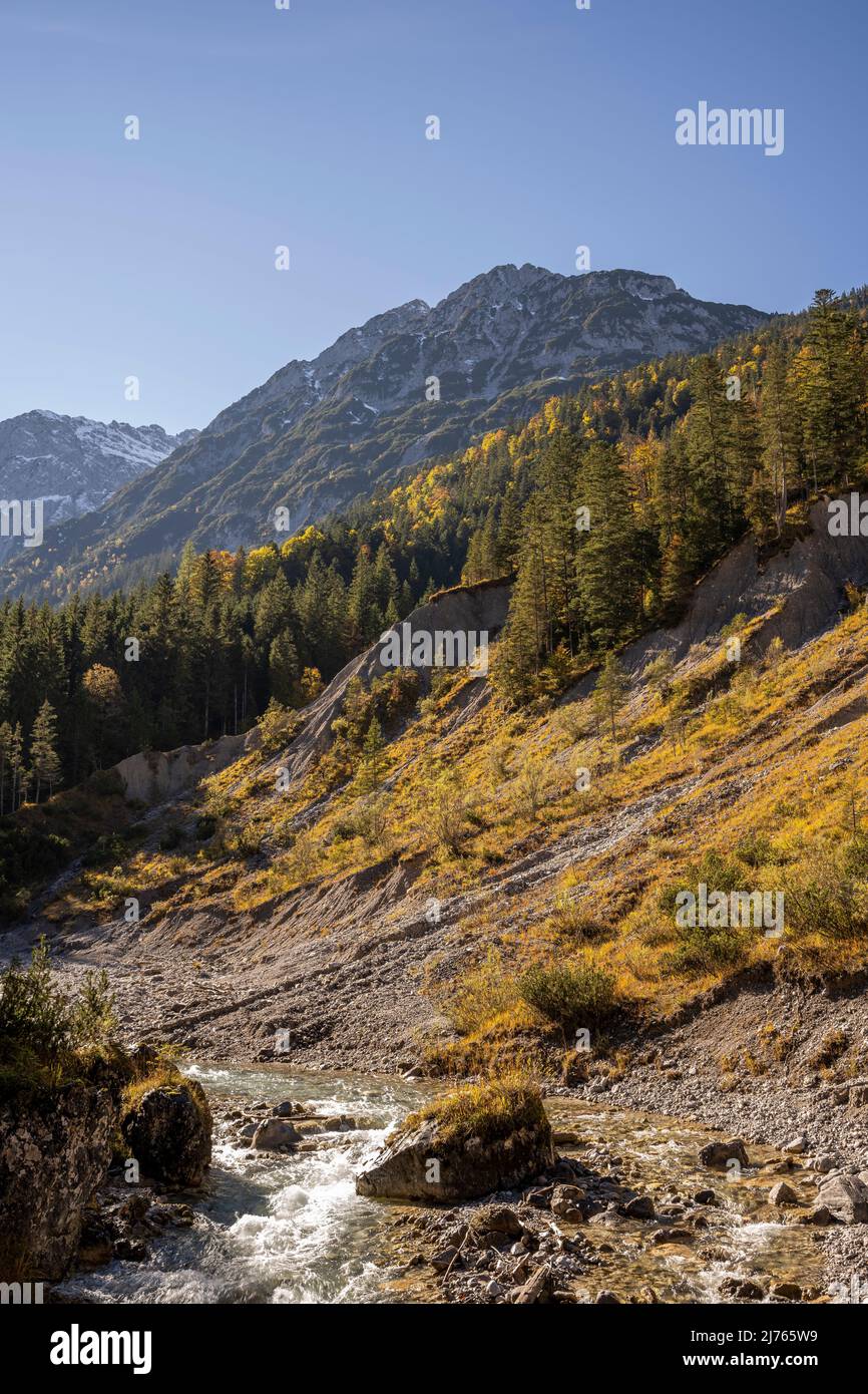 Le Johannisbach en automne dans le Karwendel près de Hinterriss, en arrière-plan les montagnes de Karwendel Banque D'Images
