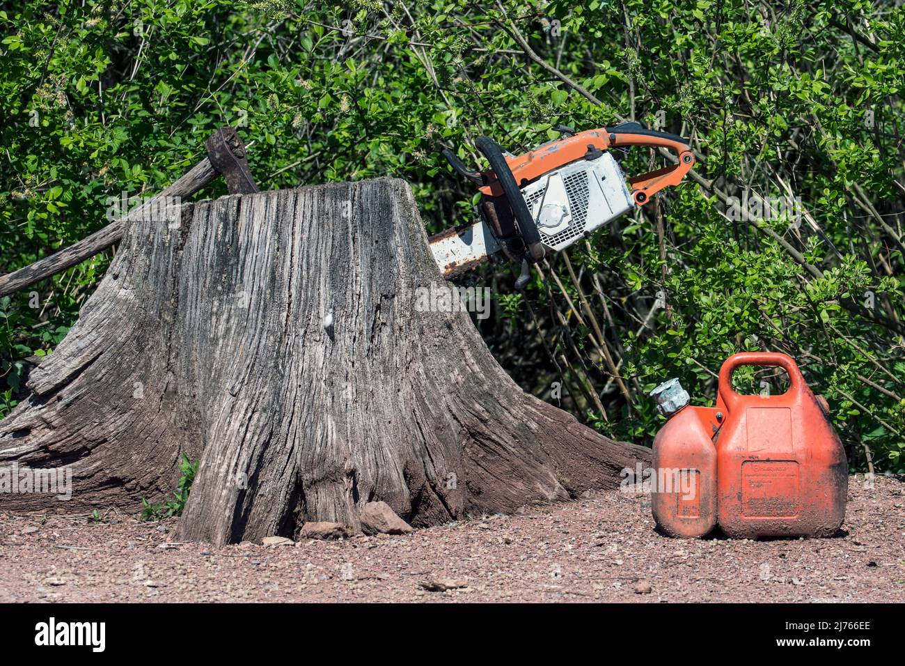 Jerricane en plastique pour le carburant / l'essence et l'ancienne tronçonneuse / tronçonneuse à chaîne portable rouillée à essence et la hache coincée dans la souche d'arbre Banque D'Images