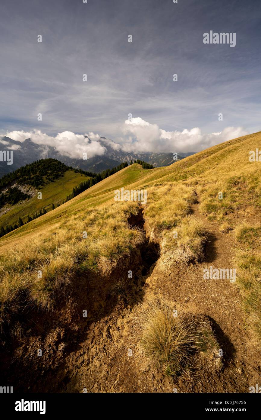 Érosion du sol sur un sentier de randonnée sur le Schönalm dans le karwendel, des touffes d'herbe simples sont encore debout, le reste a déjà été lavé dans une sorte de ravin Banque D'Images Érosion du sol sur un sentier de randonnée sur le Schönalm dans le karwendel, des touffes d'herbe simples sont encore debout, le reste a déjà été lavé dans une sorte de ravin Banque D'Images