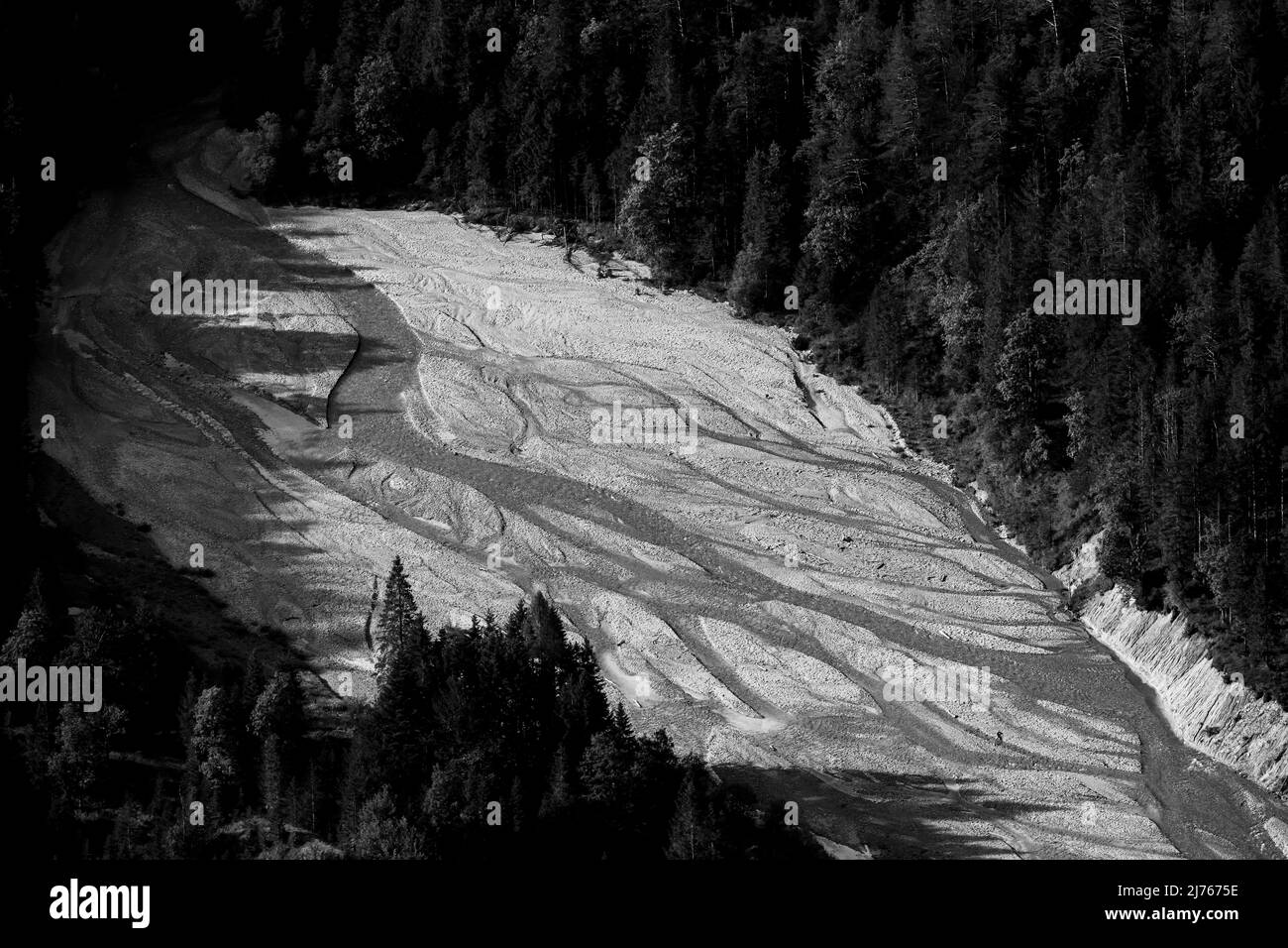 Le Johannisbach dans le Johannistal dans le Karwendel près de Hinterriss dans le Tyrol, dans les Alpes. De nombreuses ramifications du cours d'eau dans le lit de gravier entre la forêt. Banque D'Images