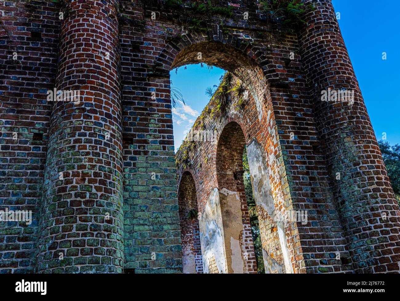 Old Sheldon Church Ruins, comté de Beaufort, Caroline du Sud, États-Unis Banque D'Images