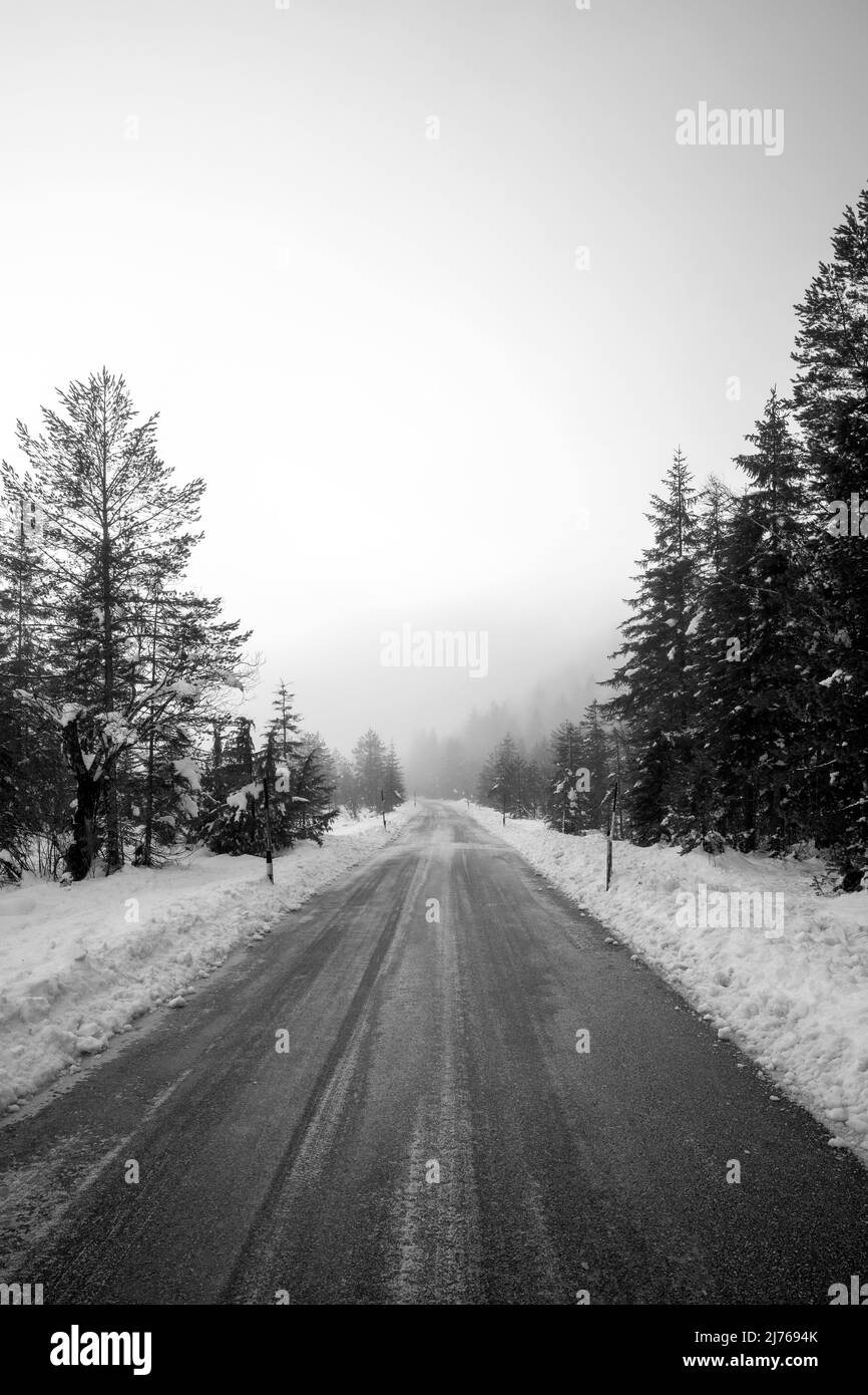 La route à péage entre Wallgau et Vorderriss en bordure du Karwendel dans les Alpes germano-autrichiennes en hiver sous la neige et la glace noire. La route est seulement dégagée mais pas salée et peut être très glissante par temps froid. Le bord est bordé de neige accumulée et le paysage est immergé dans un brouillard dense. Banque D'Images