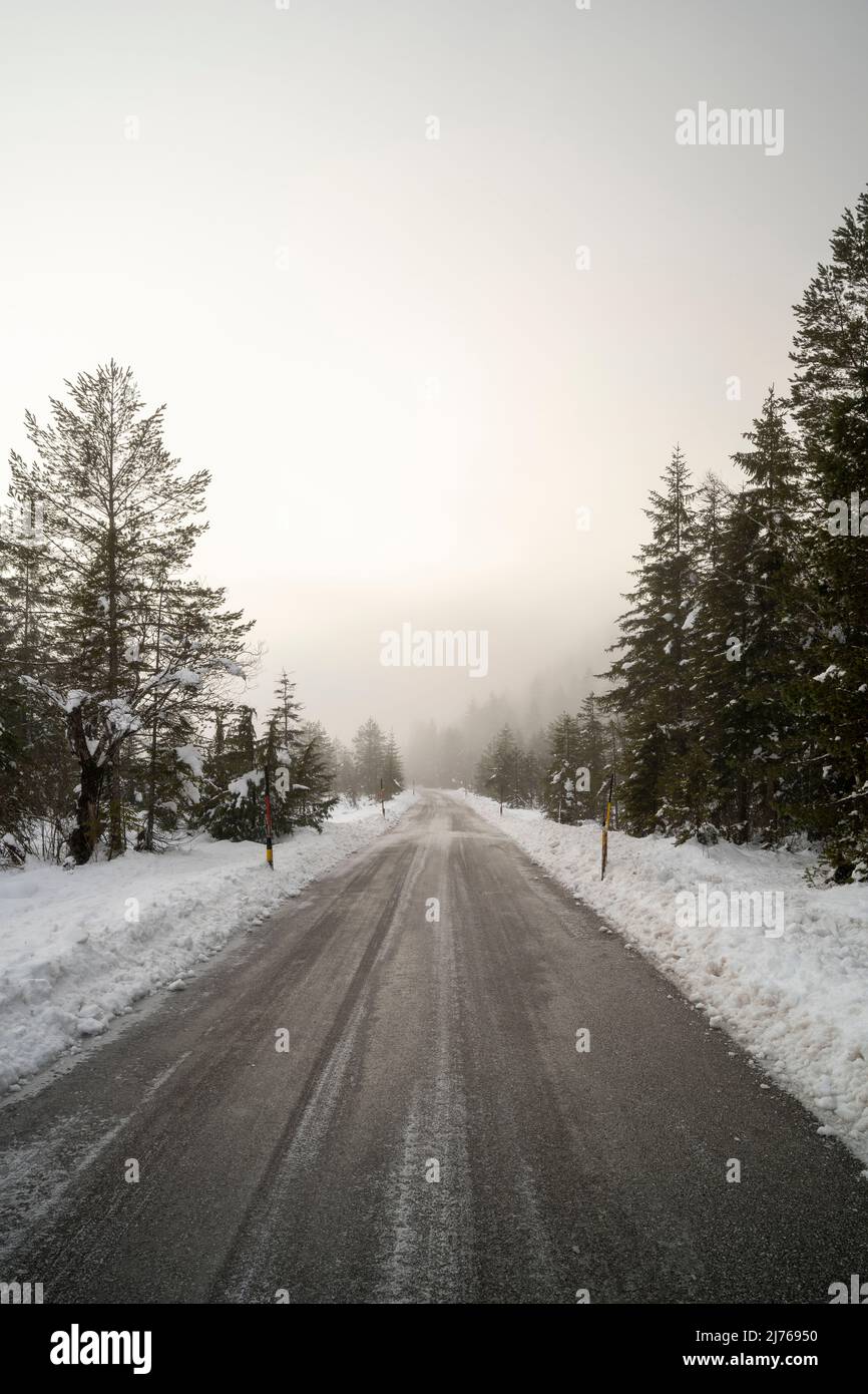 La route à péage entre Wallgau et Vorderriss en bordure du Karwendel dans les Alpes germano-autrichiennes en hiver sous la neige et la glace noire. La route est seulement dégagée mais pas salée et peut être très glissante par temps froid. Le bord est bordé de neige accumulée et le paysage est immergé dans un brouillard dense. Banque D'Images La route à péage entre Wallgau et Vorderriss en bordure du Karwendel dans les Alpes germano-autrichiennes en hiver sous la neige et la glace noire. La route est seulement dégagée mais pas salée et peut être très glissante par temps froid. Le bord est bordé de neige accumulée et le paysage est immergé dans un brouillard dense. Banque D'Images