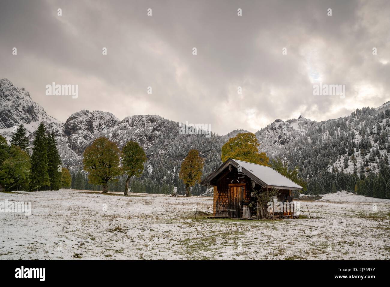 Petite cabane en bois à Rohntal au milieu du Karwendel automnal avec de la neige fraîche, en arrière-plan les montagnes de Karwendel et quelques érables de couleur automnale avec ciel couvert. Banque D'Images Petite cabane en bois à Rohntal au milieu du Karwendel automnal avec de la neige fraîche, en arrière-plan les montagnes de Karwendel et quelques érables de couleur automnale avec ciel couvert. Banque D'Images