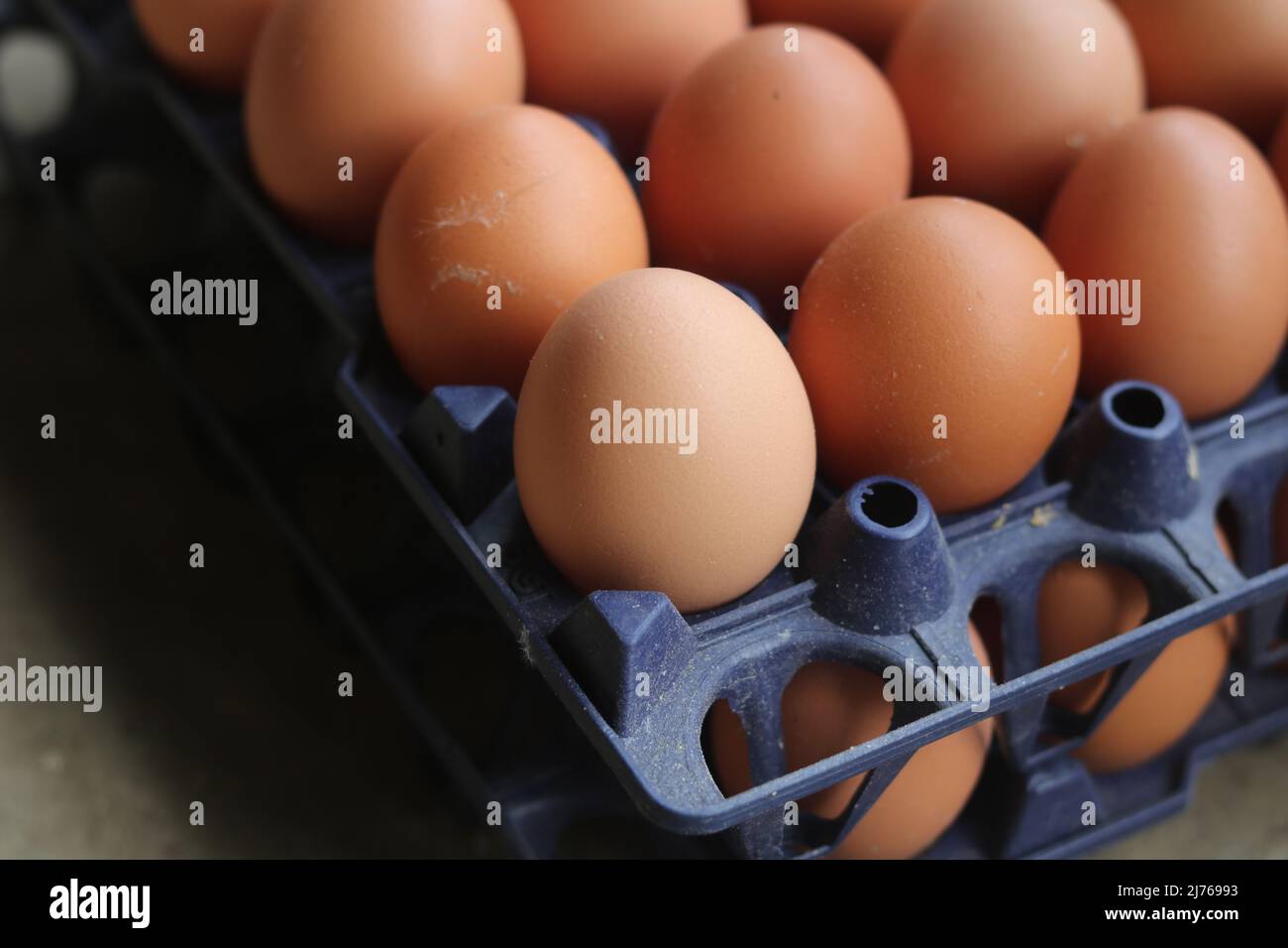 Fermez la ferme de poulet à base d'œufs frais biologiques dans les coquilles, la boîte de l'ensemble d'œufs de poulet frais Young. Banque D'Images