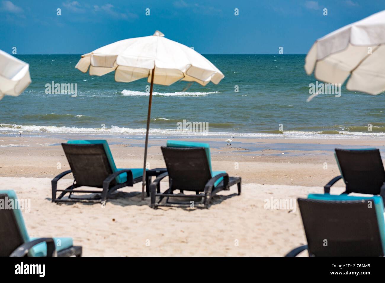 Egret blanc, (Casmerodius albus), chaises longues et parasols sur la plage, complexe hôtelier Dusit Thani, Hua Hin, province de Prachuap Khiri Khan, Thaïlande, Golfe de Thaïlande, Asie Banque D'Images