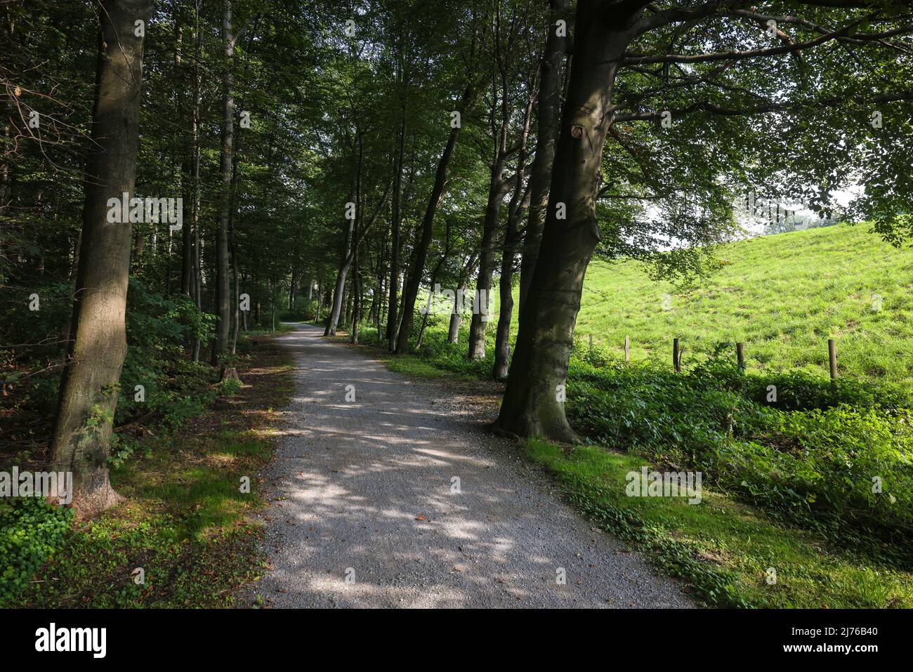 Bottrop, Rhénanie-du-Nord-Westphalie, Allemagne - Emscher-Weg, sentier cyclable et pédestre le long de l'Emscher. Banque D'Images
