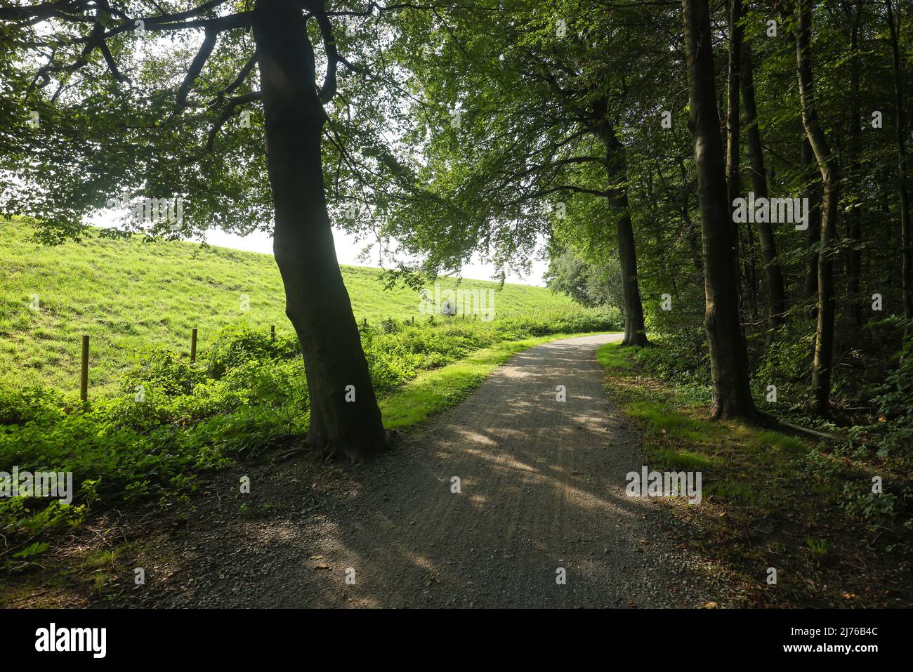 Bottrop, Rhénanie-du-Nord-Westphalie, Allemagne - Emscher-Weg, sentier cyclable et pédestre le long de l'Emscher. Banque D'Images