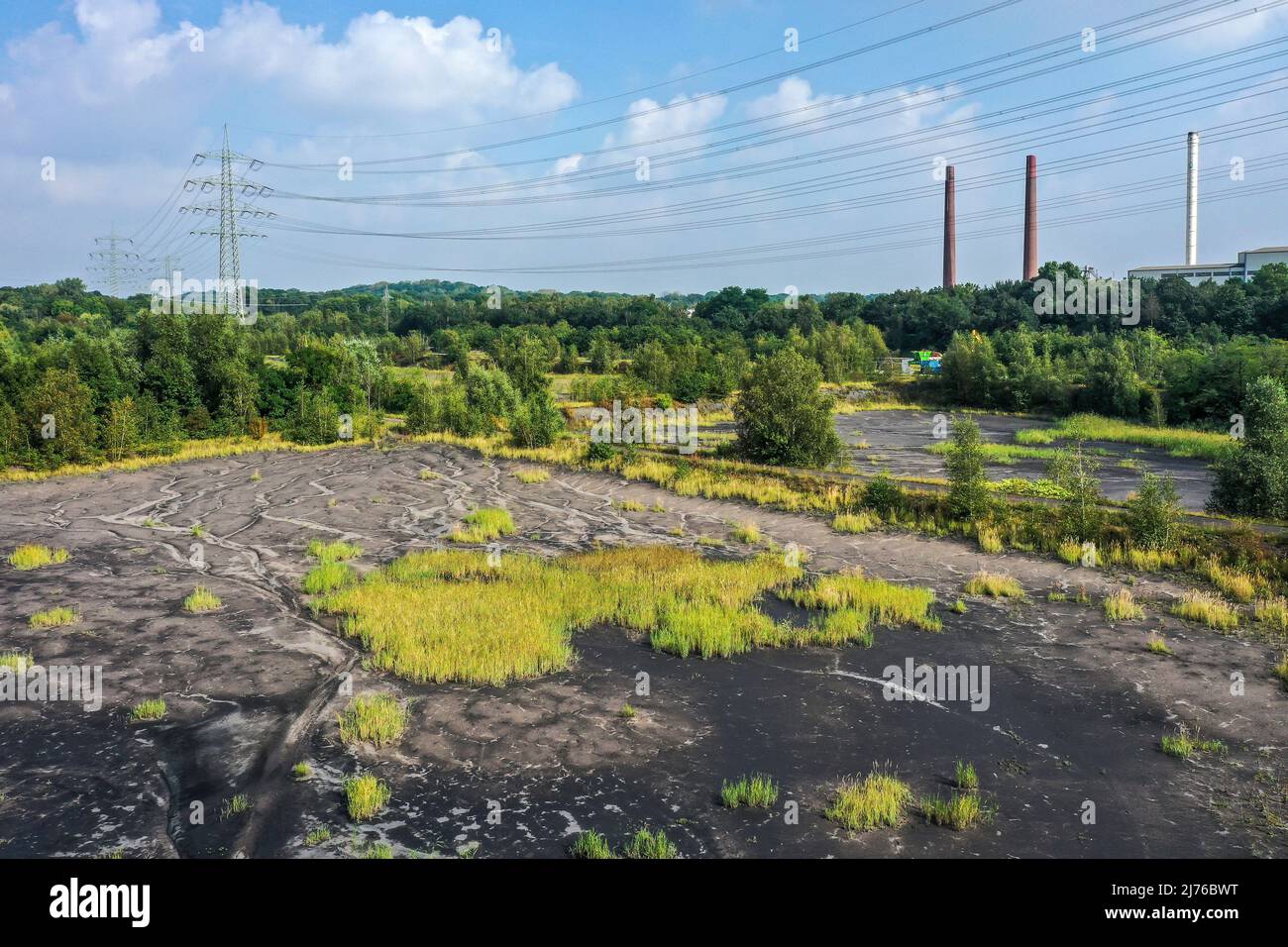 Bottrop, Rhénanie-du-Nord-Westphalie, Allemagne, projet de développement urbain FREIHEIT EMSCHER, anciennes zones minières sur le canal Rhin-Herne et Emscher sont en cours de transformation en un centre urbain avec commerce et industrie, zones résidentielles ainsi que des espaces verts et des installations de loisirs sur le front de mer, anciens étangs de RAG flottation à la Gungstrasse Banque D'Images