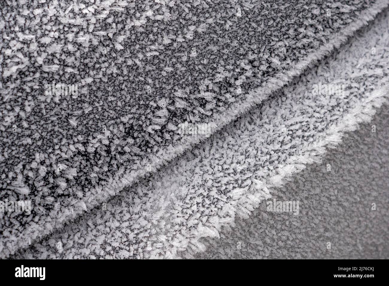 Hoarfrost, Kastel-Staadt, Vallée du Saar, Rhénanie-Palatinat, Allemagne Banque D'Images