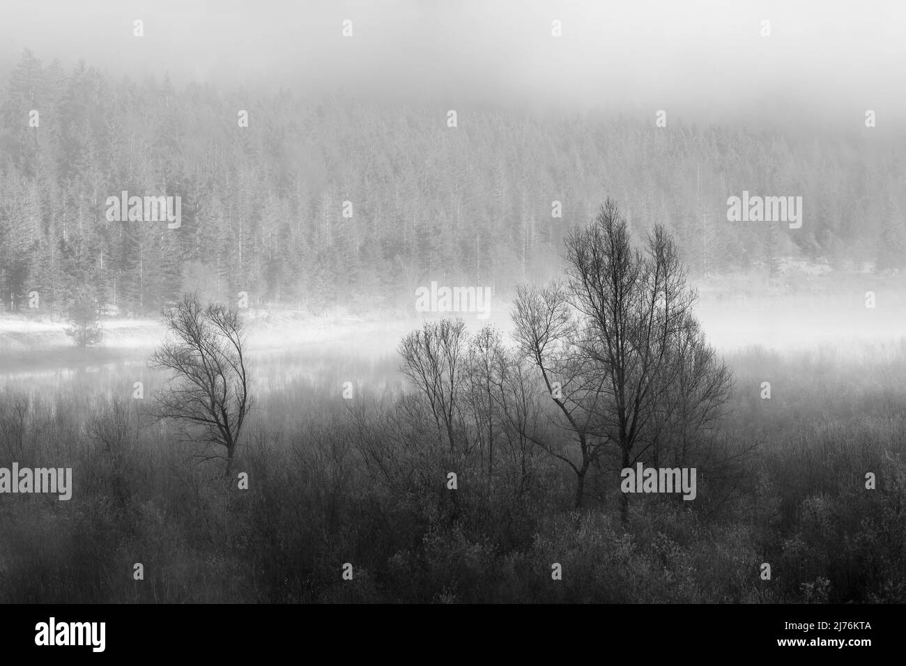 Le givre et le brouillard sur les pâturages sur la rive du réservoir de Sylvenstein dans les Alpes bavaroises, au bord des monts Karwendel près de Lengries. Banque D'Images Le givre et le brouillard sur les pâturages sur la rive du réservoir de Sylvenstein dans les Alpes bavaroises, au bord des monts Karwendel près de Lengries. Banque D'Images