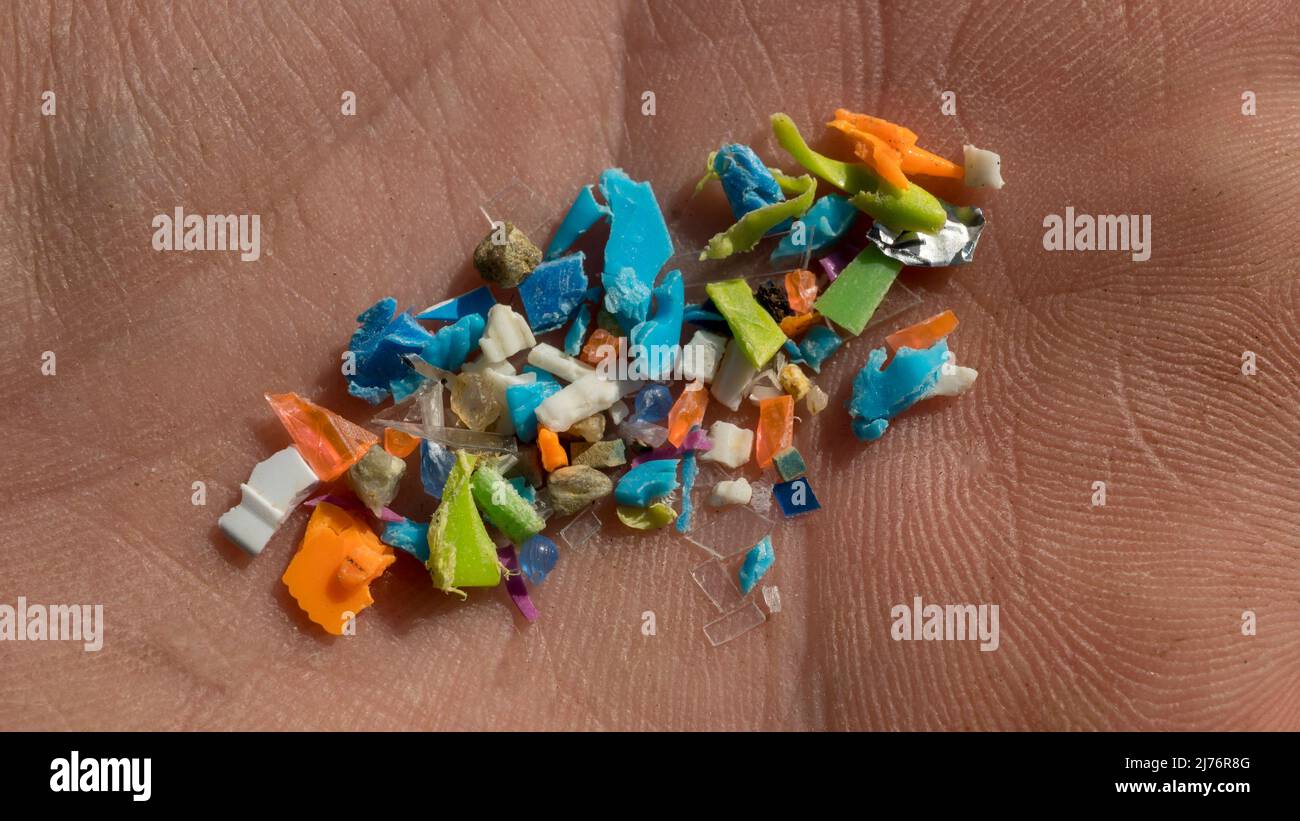 Photo macro de particules microplastiques. Pollution plastique et pollution de l'eau. Banque D'Images