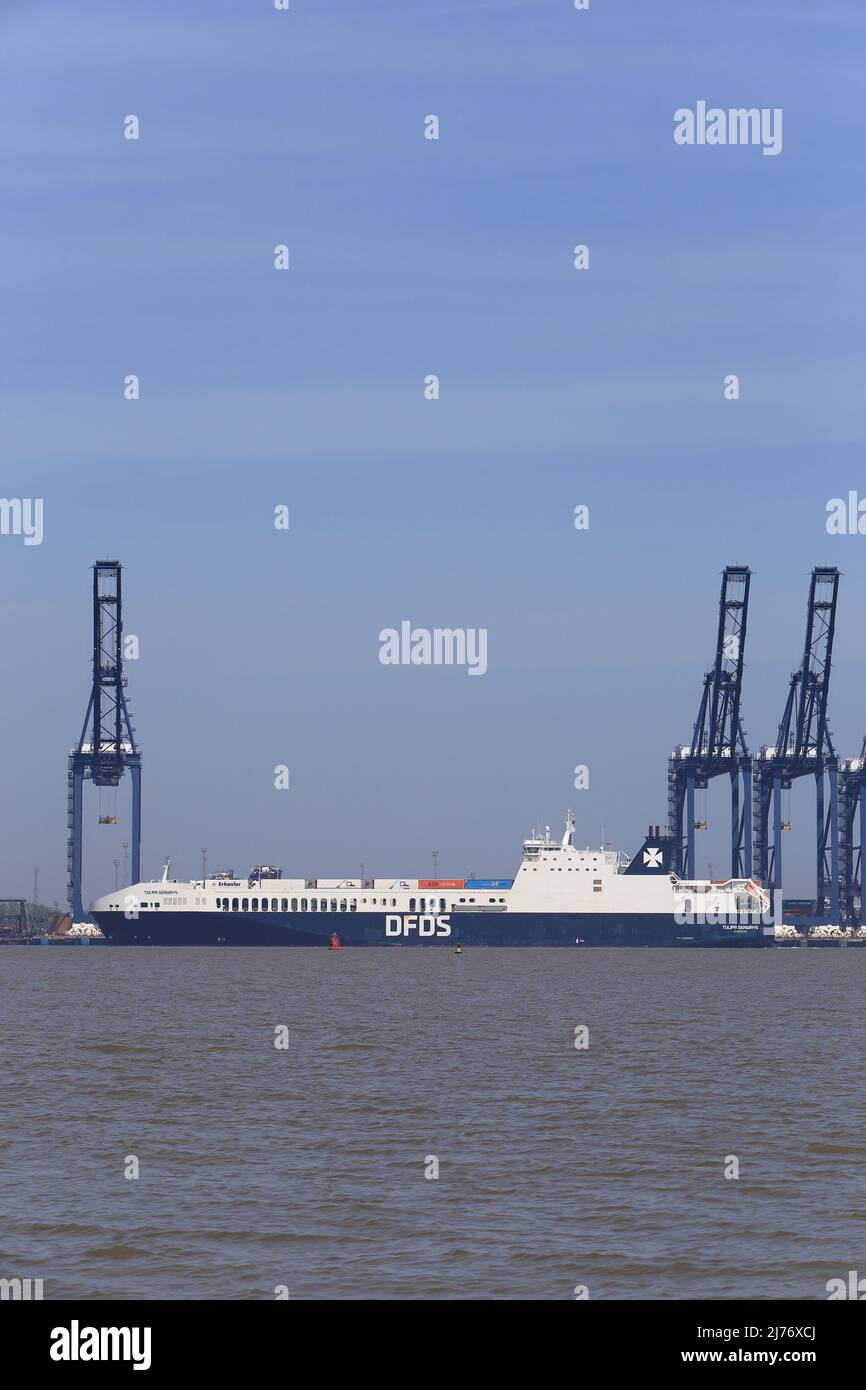 RO-RO (Roll On - Roll Off) navire de cargaison Tulipa Seaways entrant dans le port de Felixstowe, Suffolk, Royaume-Uni. Banque D'Images