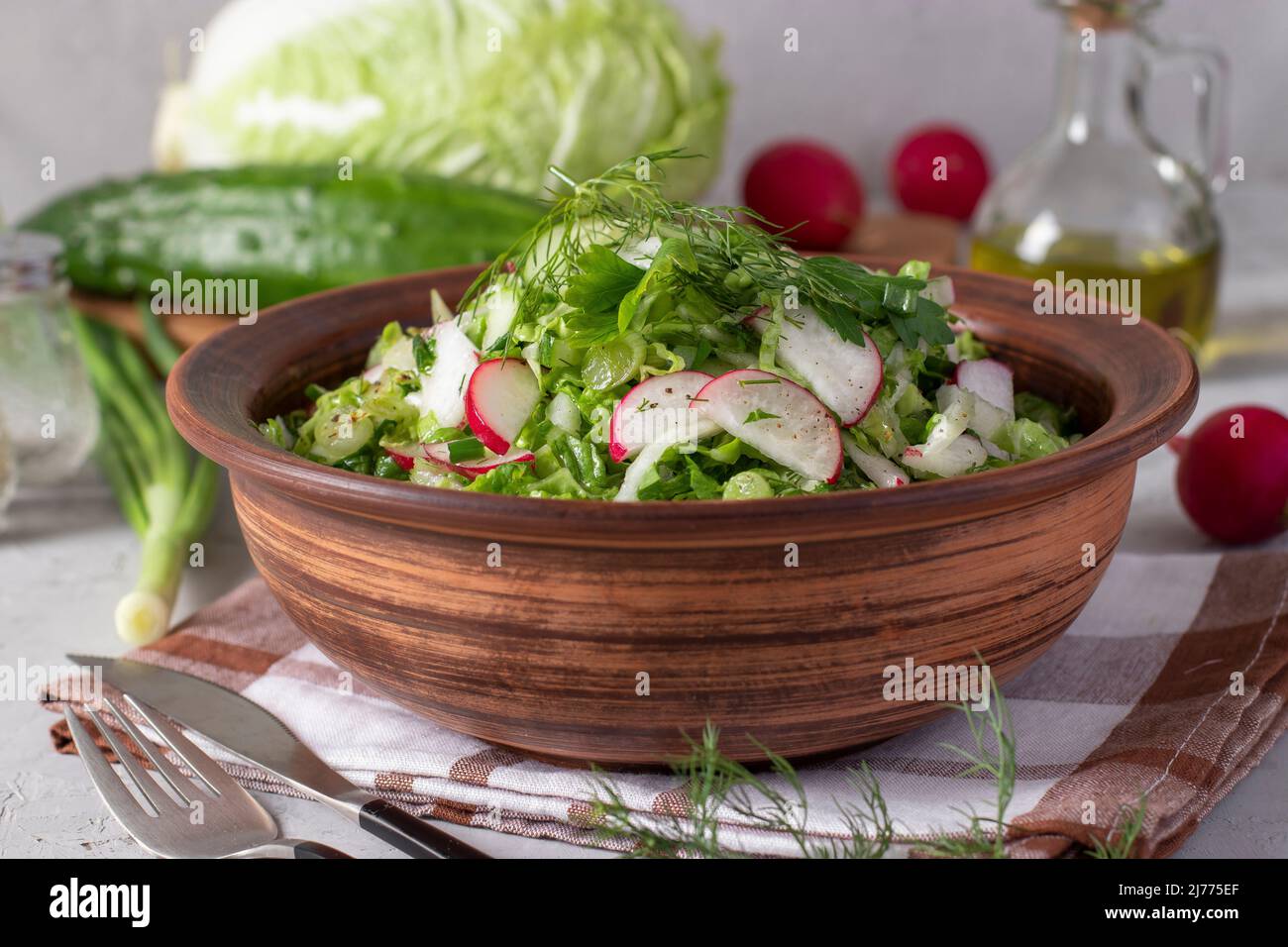 Salade au chou chinois, concombres, radis et ciboulette, garnie d'huile d'olive, gros plan Banque D'Images