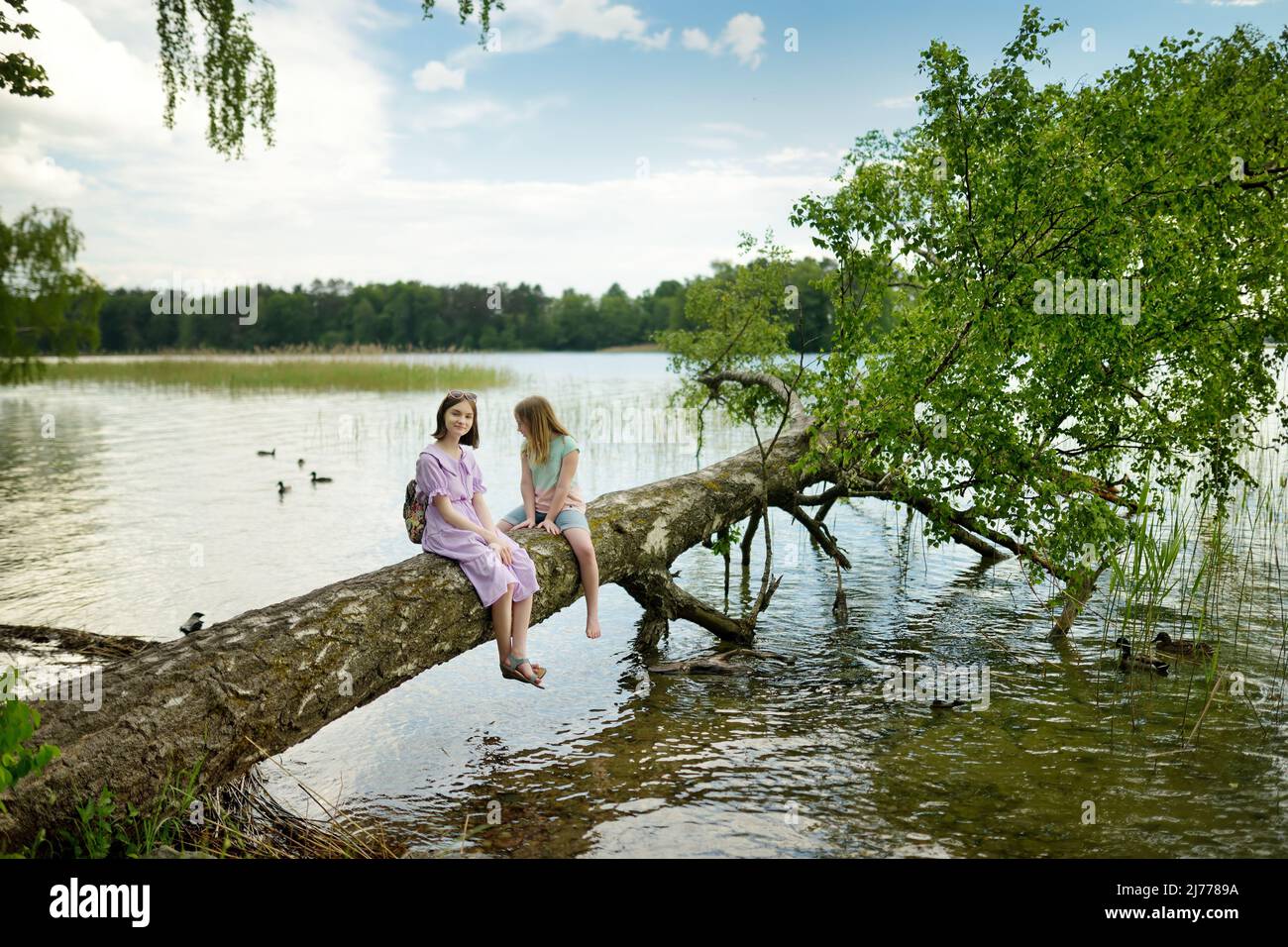 Deux jeunes filles mignonnes assises sur un arbre de faller au bord de la rivière ou du lac en plongeant leurs pieds dans l'eau le chaud jour d'été. Activités familiales en été. Banque D'Images